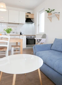 apartment-1 living room