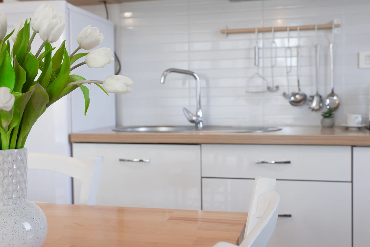 apartment-1 living room